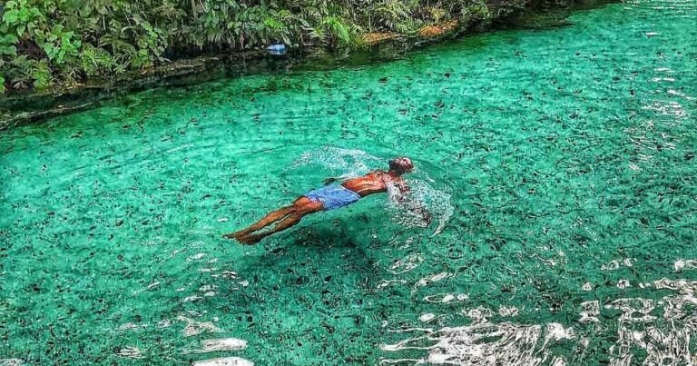 Swimming in the Wikki Warm Springs at Yankari, Bauchi State