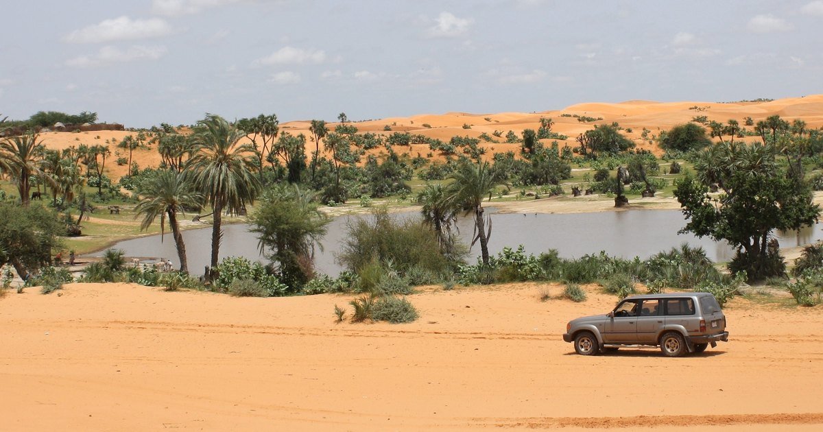 Sahel landscape in north eastern Nigeria, the zone Yobe State sits in