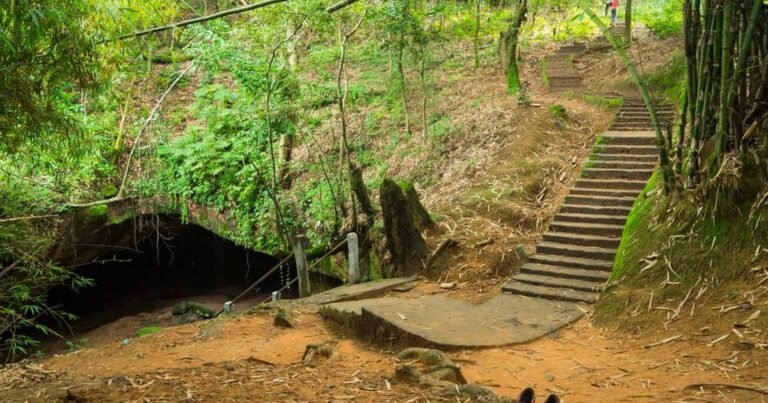 The forest entrance to the Ogbunike Caves in Anambra State