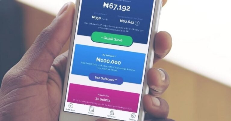 Checking a naira savings balance in an investment app